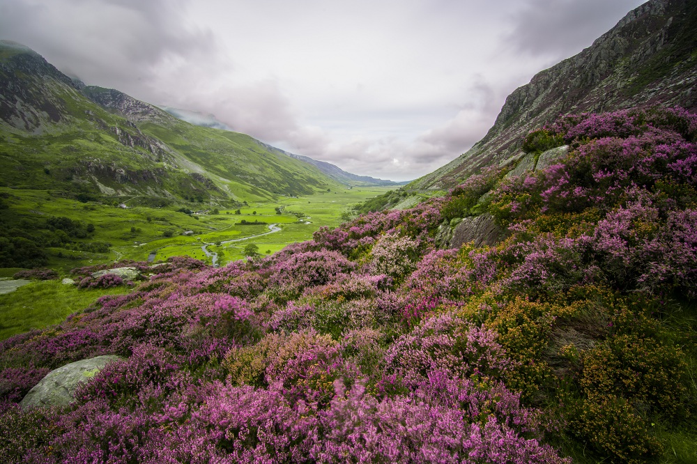 SNOWDONIA