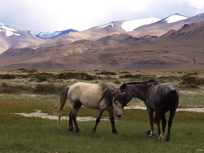 Ladakh