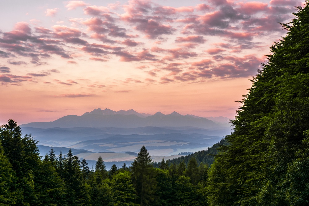 Tatry widziane z Pienin