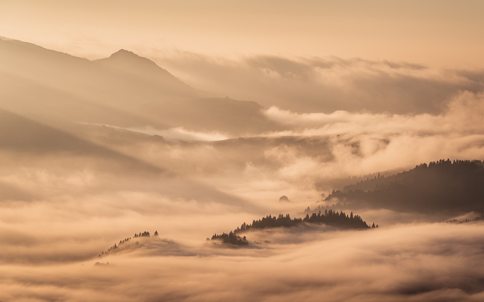 Złote Pieniny.