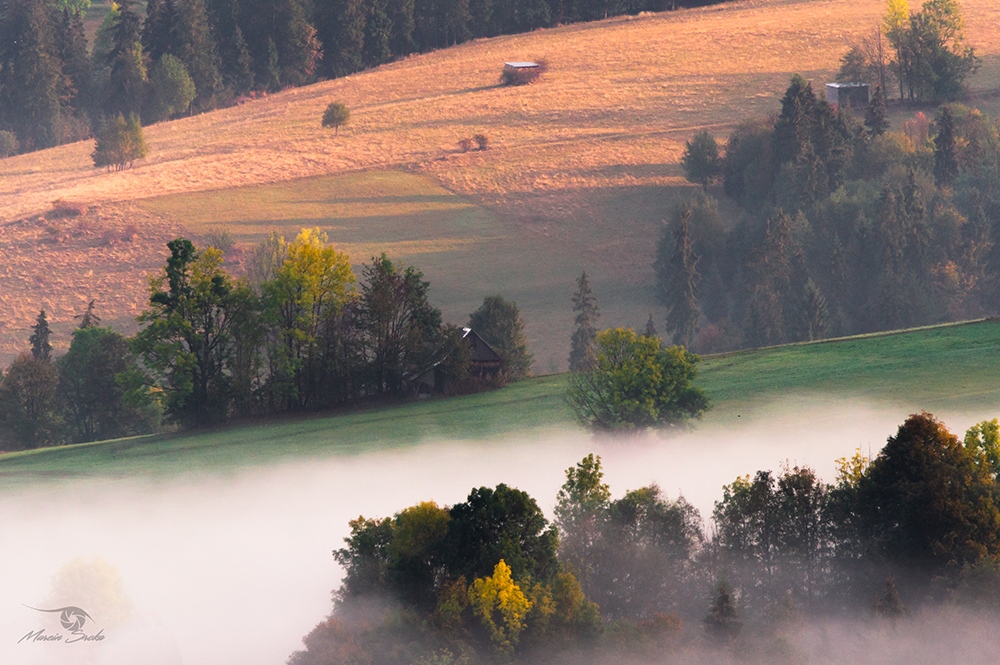 Jesienną porą