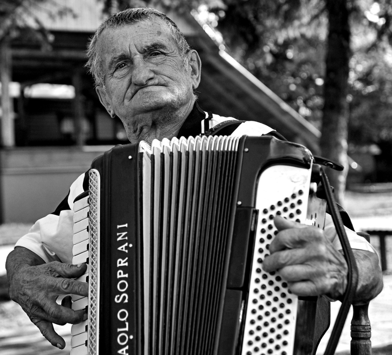 Akordeonista z Białowieży