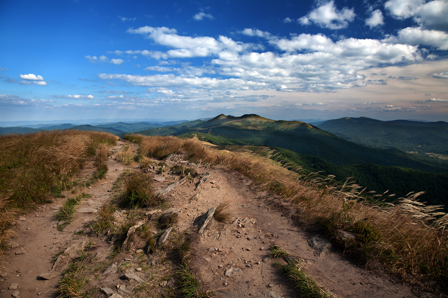 Sierpniowe Bieszczady