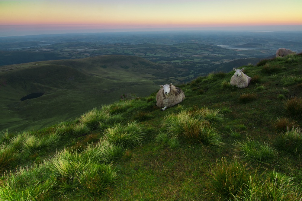 Brecon Beacons i jego mieszkancy