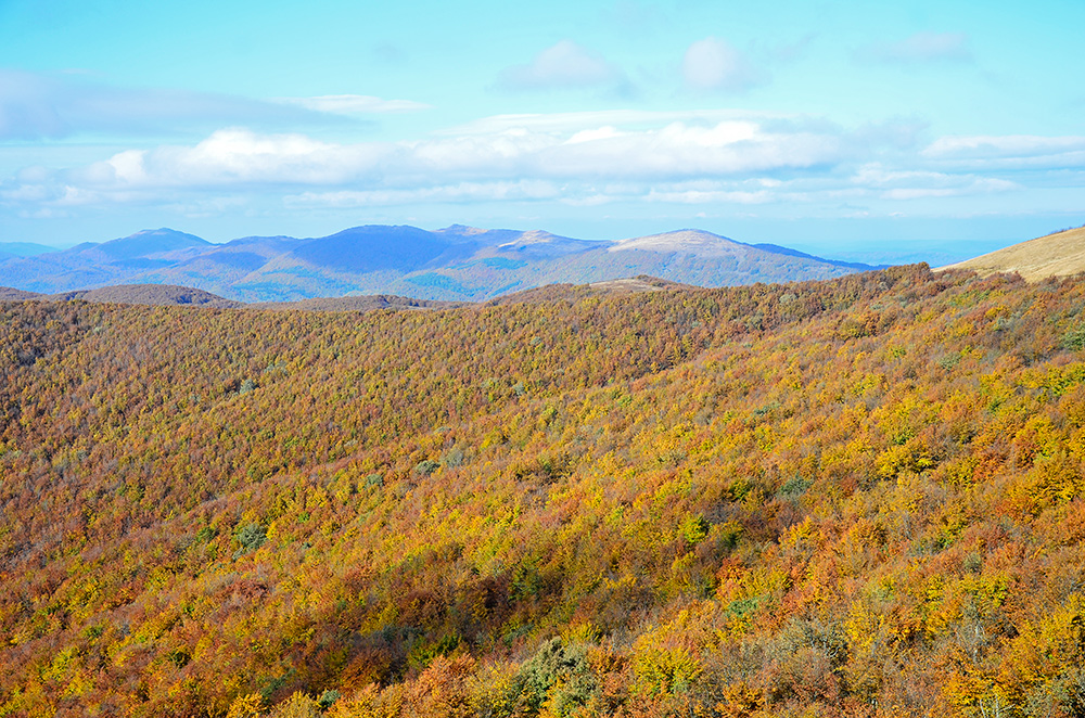 Bieszczady