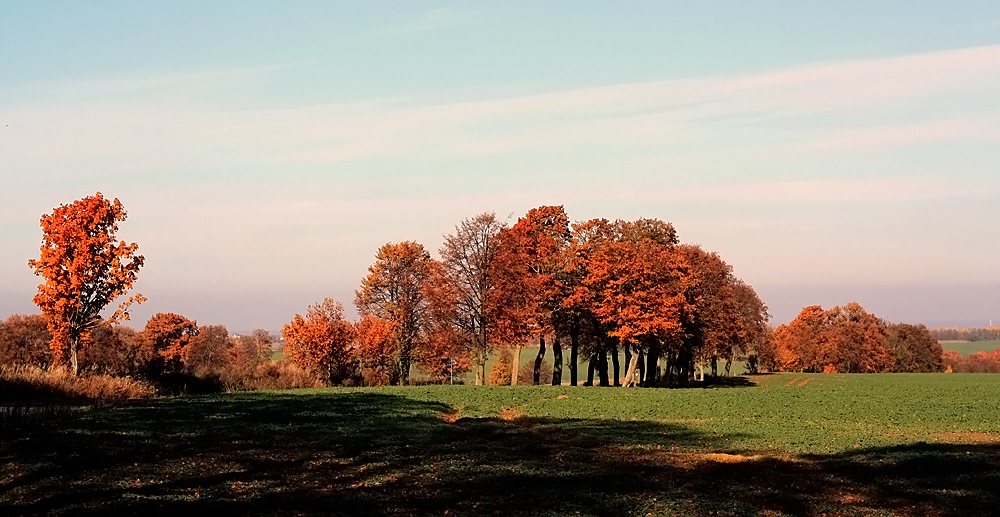 Barwy jesieni II...