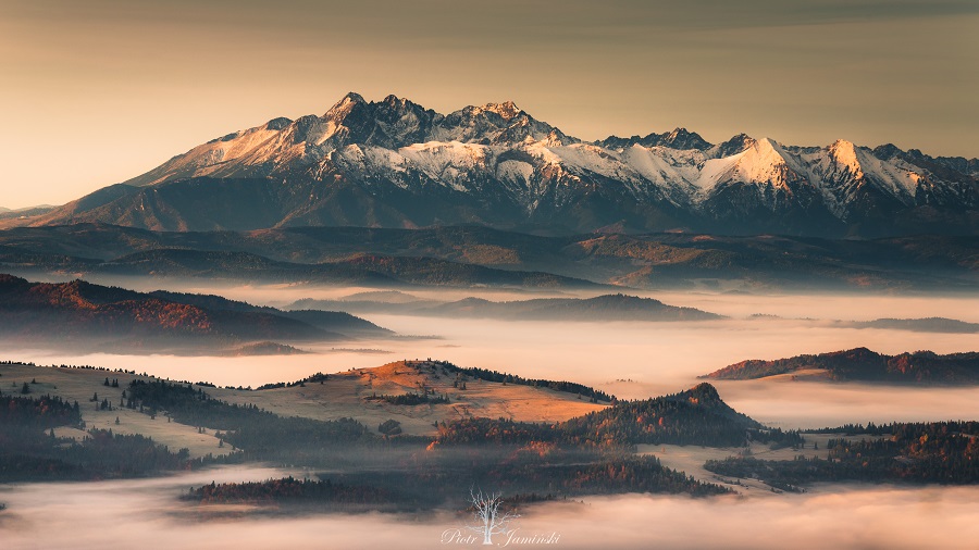 Tatry z Beskidu Sądeckiego.