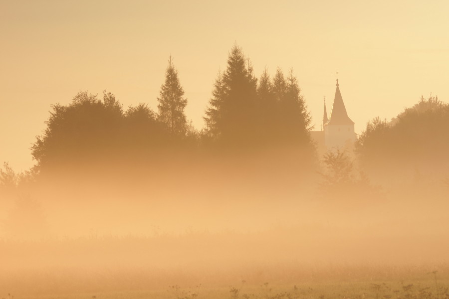 Widok Na Kościół w Starym Wiśniczu