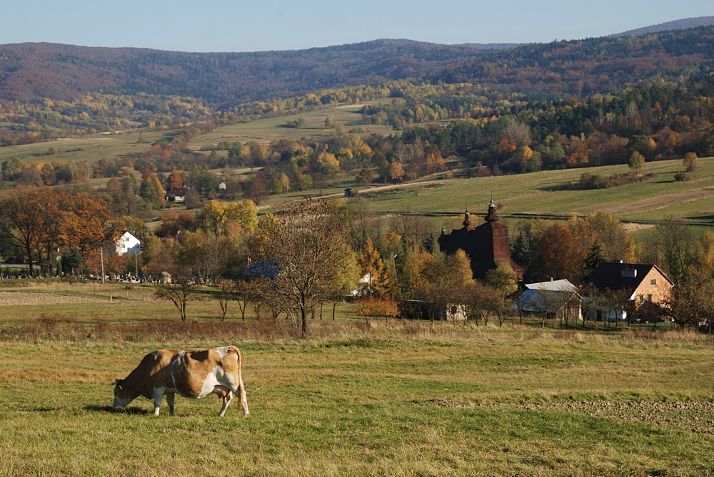 Męcina Wielka (Beskid Niski)