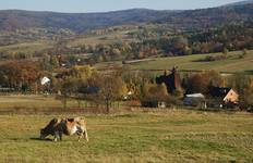 Męcina Wielka (Beskid Niski)