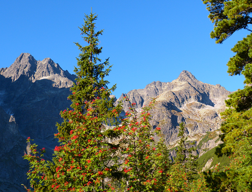 Tatry