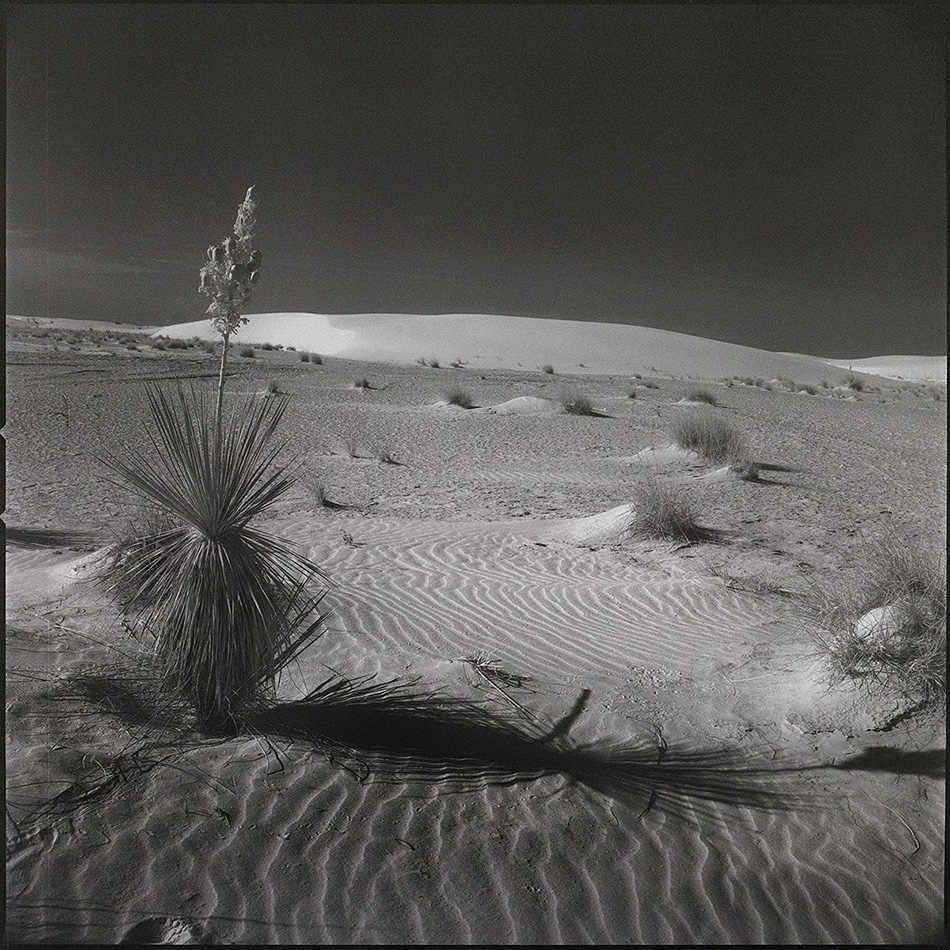 N.M. White Sands