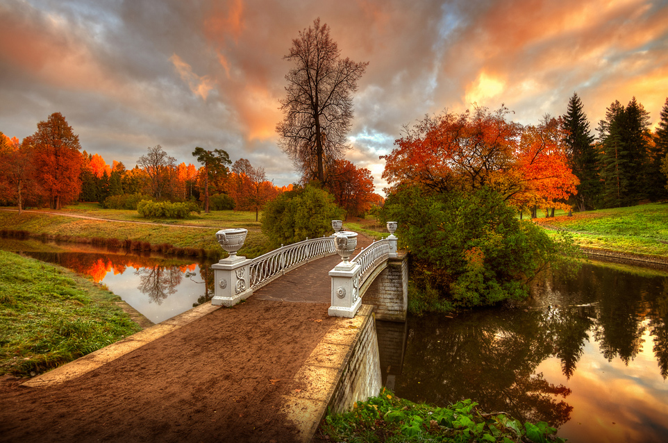 Autumn picture