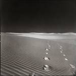 N.M. White Sands