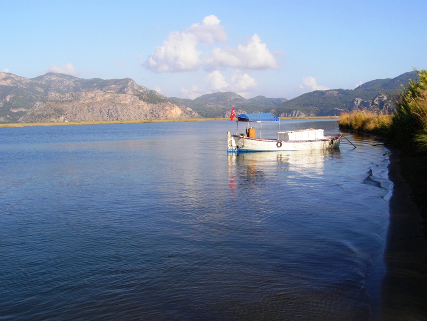 Dalyan Çayi