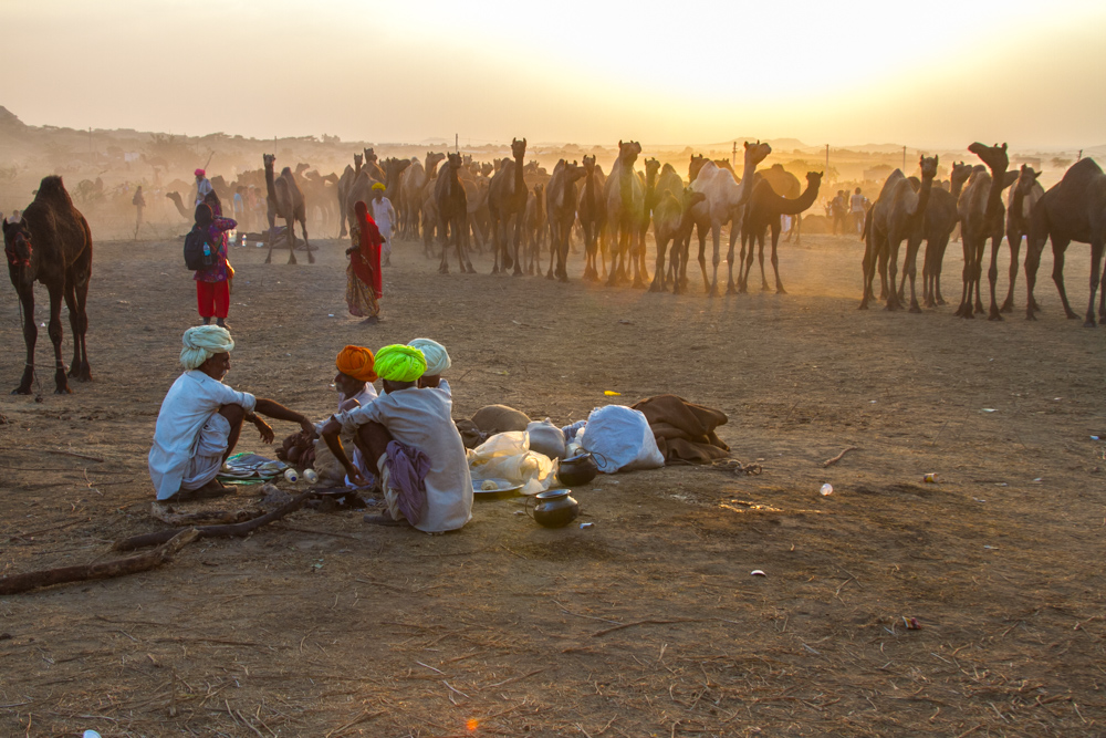 Pushkar