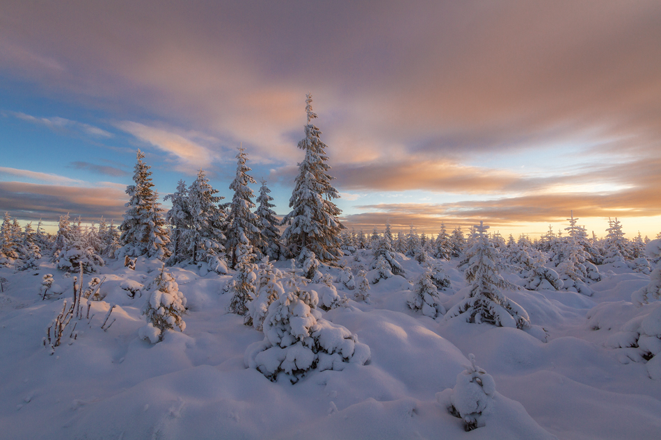 First Day of Winter!