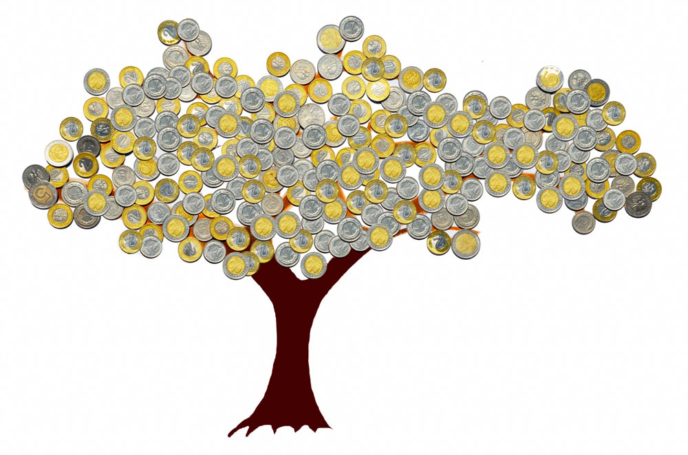 Money tree