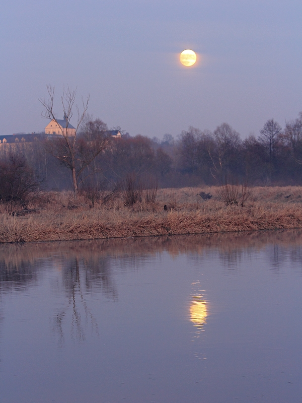 W wigilijny wieczór