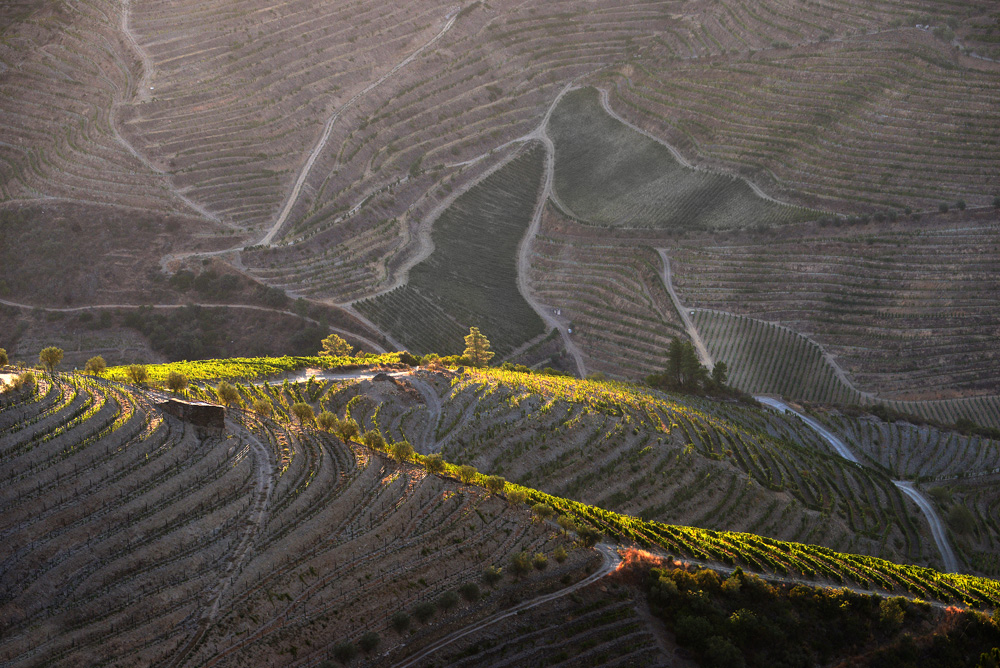 dolina Douro pierwsze swiatlo