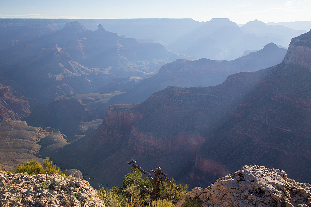 Canyon Colorado o poranku