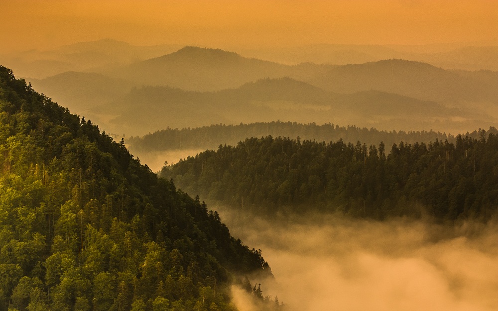 PIENINY