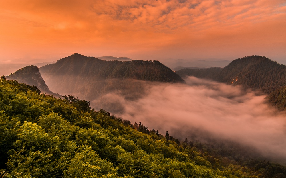 PIENINY