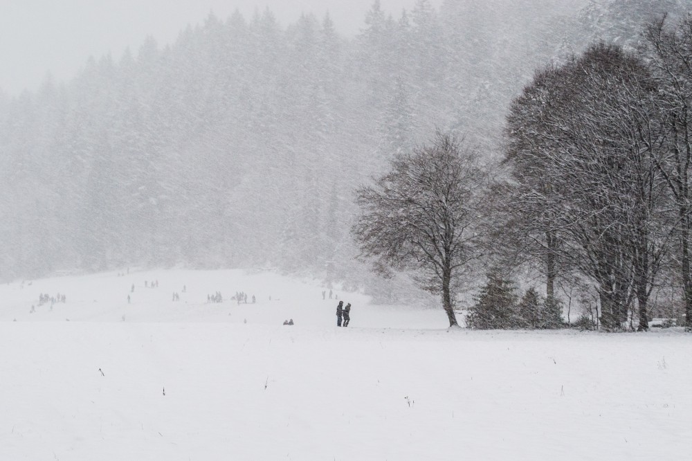 Śnieżyca