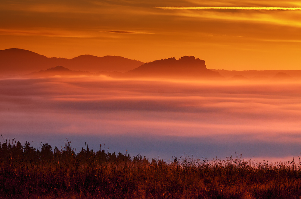 Pieniny