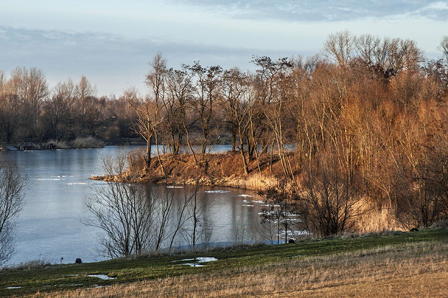 Staw nad Odrą