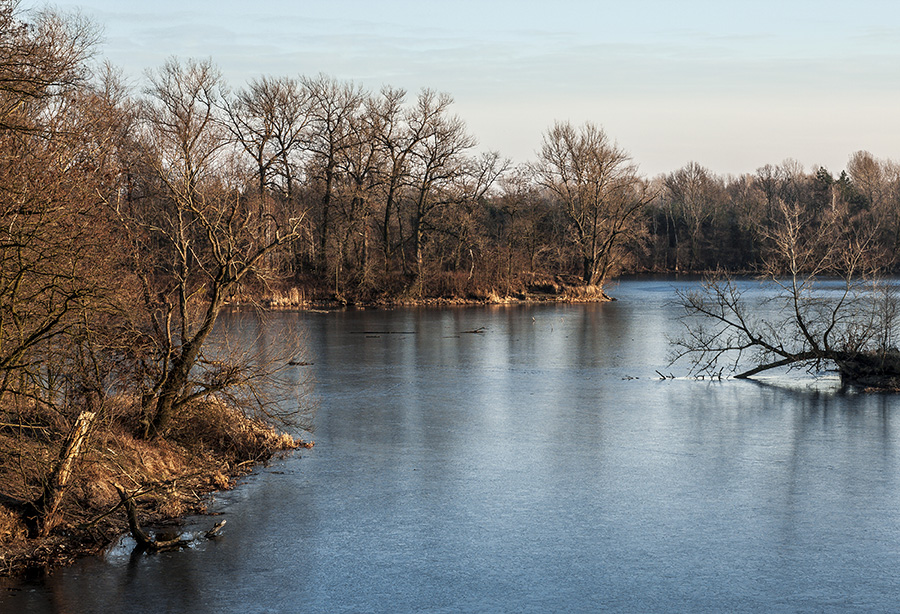 Staw nad Odra 2