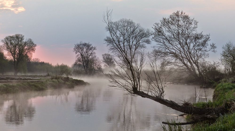 poranek nad Krzną