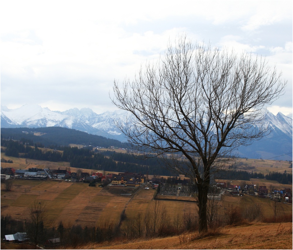 Tatry dziś...