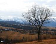 Tatry dziś...