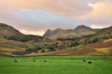 Cumbrian Landscape