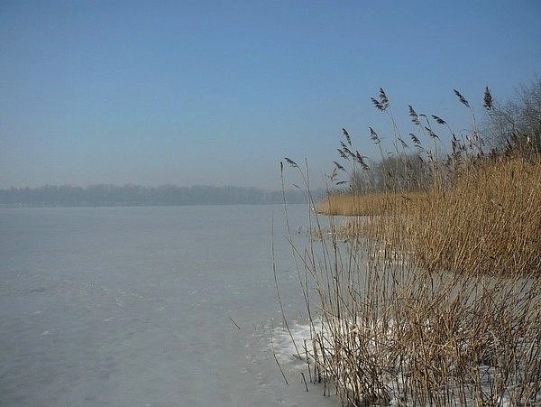 Jezioro paprocańskie Tychy