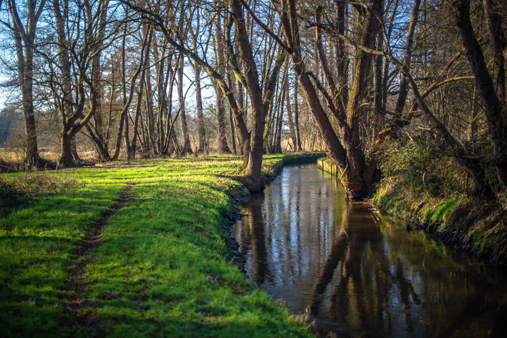 Koło domu