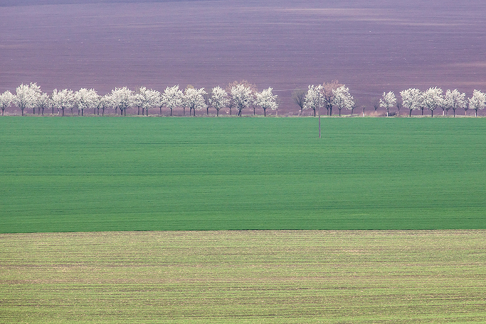 Południowe Morawy