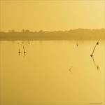 Pink Lake