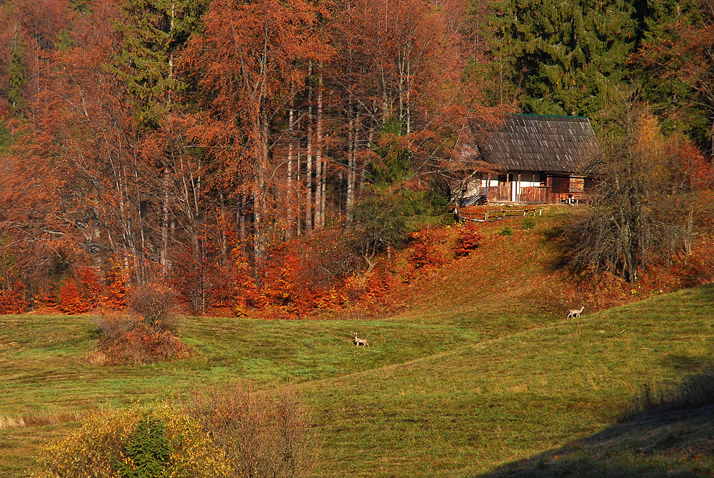 Koniec piosenki.