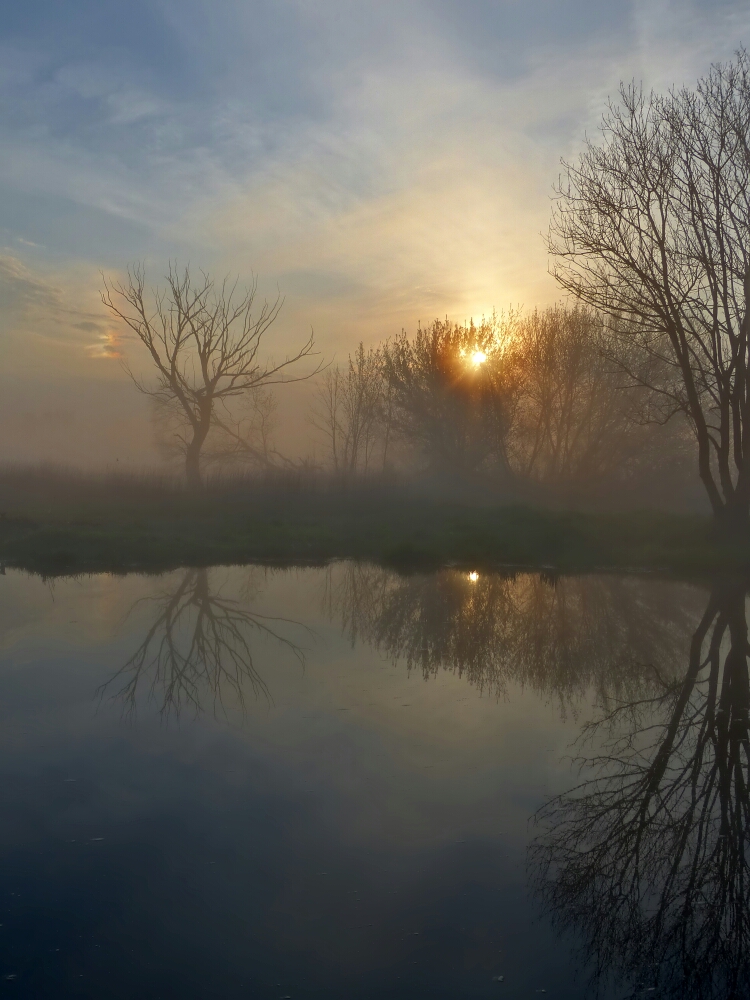 misty morning