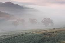 Crete Senesi