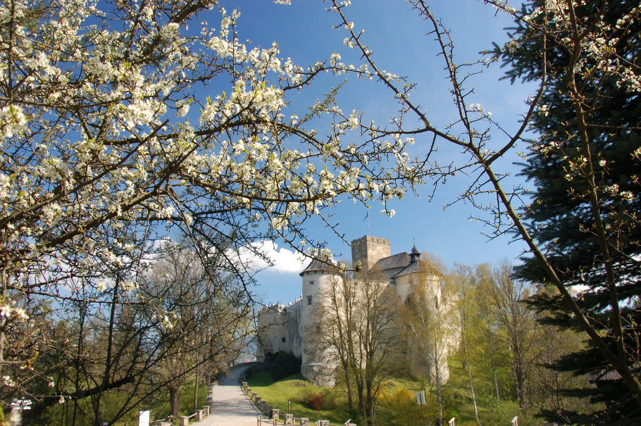 i znów zakwitną jabłonie...