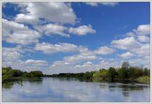 Niebo nad Narwią