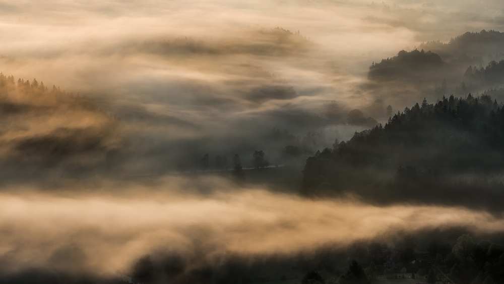 In Misty Morning Air