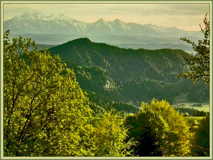 Widok na Pieniny i Tatry