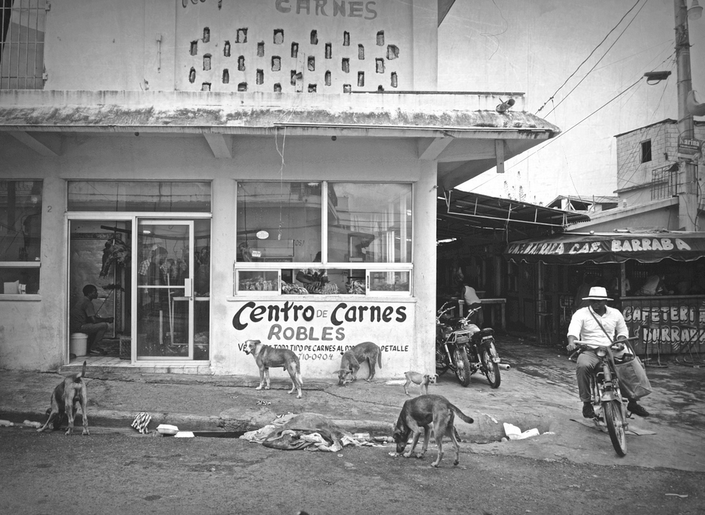 Centro de Carnes