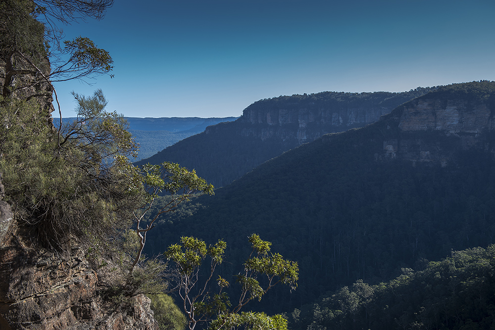 Blue Mountains...