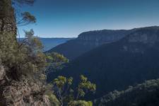 Blue Mountains...