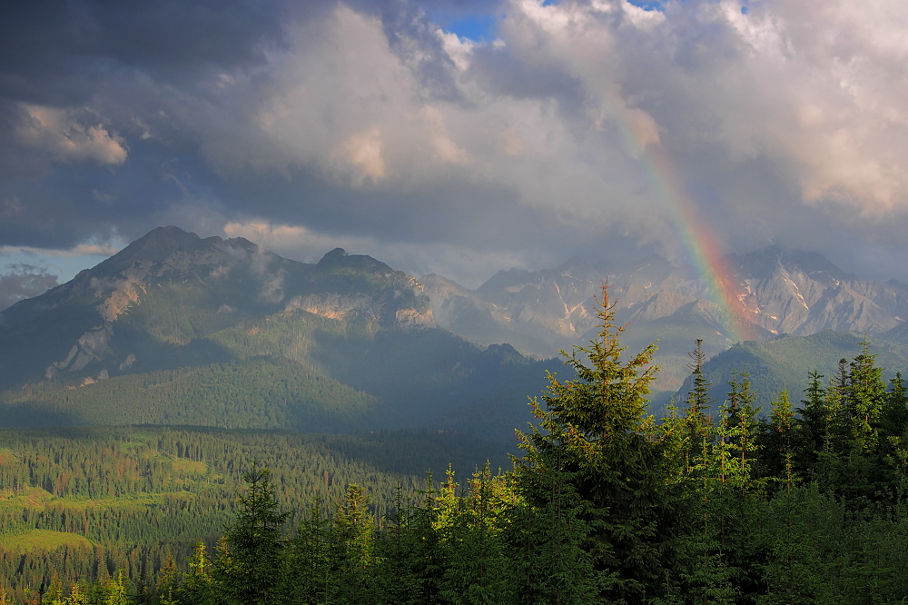 Tatry